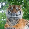 ☆الحمد لله المستعان☆ profil fotoğrafı
