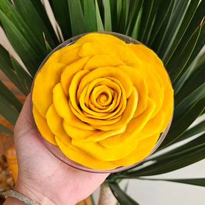 cucainau's profile picture