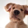 𝚃𝚑𝚎 𝙶𝚎𝚗𝚎𝚛𝚊𝚕 profil fotoğrafı