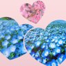 森の歌声🍒˚✧₊⁎❝᷀ົཽ profil fotoğrafı
