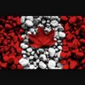 TheTruthNorth49🇨🇦 的头像