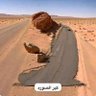 سون تزو عربي's profile picture