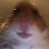 Profilbild von bwepwep