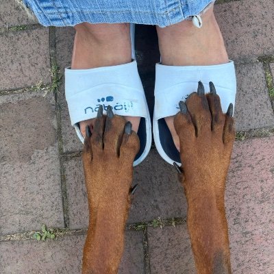 umbongo_ed's profile picture