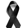 marcelo orellana's profile picture