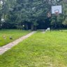 Tanja profil fotoğrafı