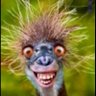 Glenn Stanford's profile picture