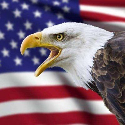 浩哥i✝️i🇺🇸iA2's profile picture