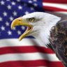浩哥i✝️i🇺🇸iA2 的头像