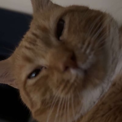 absraact's profile picture