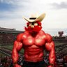 Raider Matt(Back on the kool-aid)'s profile picture