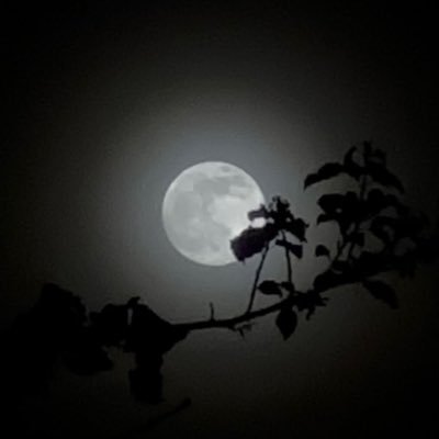Phentenol2's profile picture
