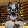 Profilbild von ~Samuel•Apollo~ @ home 🐺