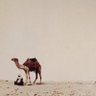 ✪سعود الشمري ✪ profil fotoğrafı