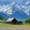 Фото профиля atikka889