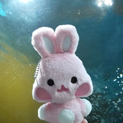 jungreunstation's profile picture