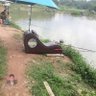 ngotanlinh's profile picture