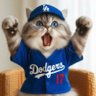 Profilbild von Dodgers&MLB⚾️