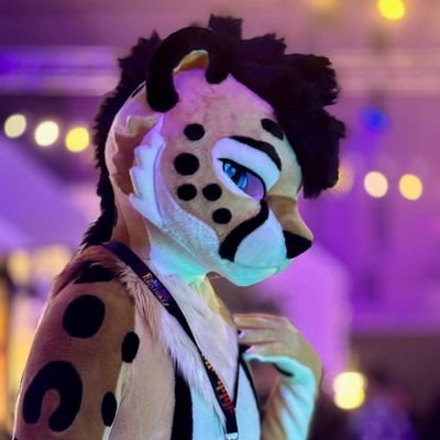 Elfi's profile picture