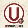 Profilbild von Luis Hinojosa