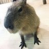 和希's profile picture