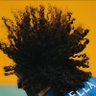 Welt's profile picture