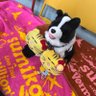 むうちゃん's profile picture