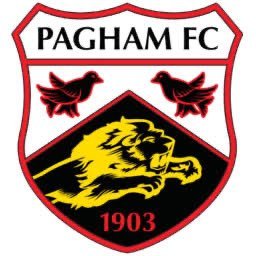 Pagham Football Club 🦁's profile picture