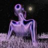 Profilbild von GรผS๐พ