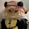 Aymn Mehfooz's profile picture
