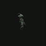 Фото профиля Weeknd starboy