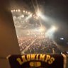 Фото профиля mgm