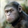 Steve Seymour's profile picture