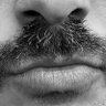 Bordnik profil fotoğrafı