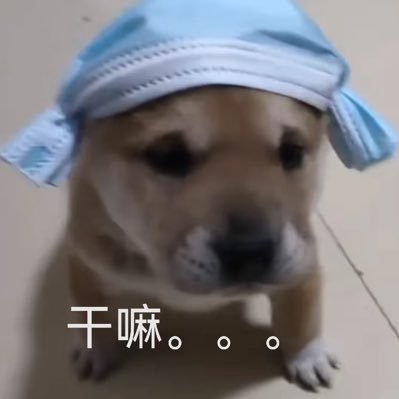 xiaoqiuseyue's profile picture