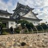 城になら抱かれてもイイ 的头像