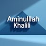 Aminullah Khalili's profile picture