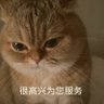 A股小王子's profile picture
