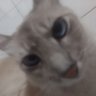Profilbild von Br