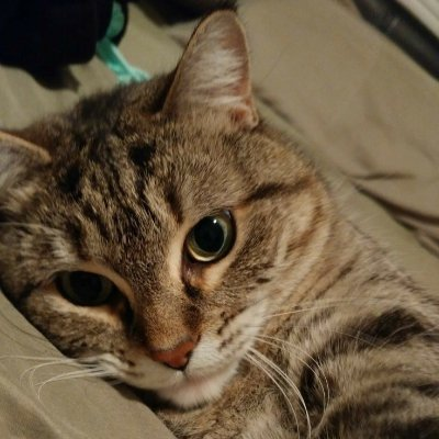 effeticfps's profile picture