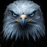 STARBOY AIR🐣🦅's profile picture