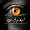 افتخار حسین's profile picture