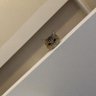 nairaaaa profil fotoğrafı