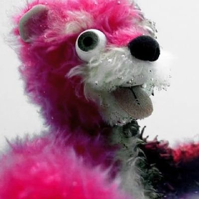 Nacho Lastra Baez's profile picture