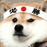 仿生山泥若会梦到电子肯德基吗 的头像