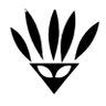 Phalansteria's profile picture