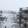 Profilbild von أسد الأطلس
