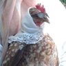 Profilbild von Brigitte Birdot