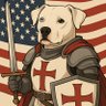 Profilbild von American as Trump