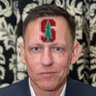 Peter Treel's profile picture